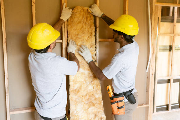 Best Garage Insulation Installation  in Pierre, SD